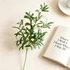 Ten forked olives have no fruit 103cm