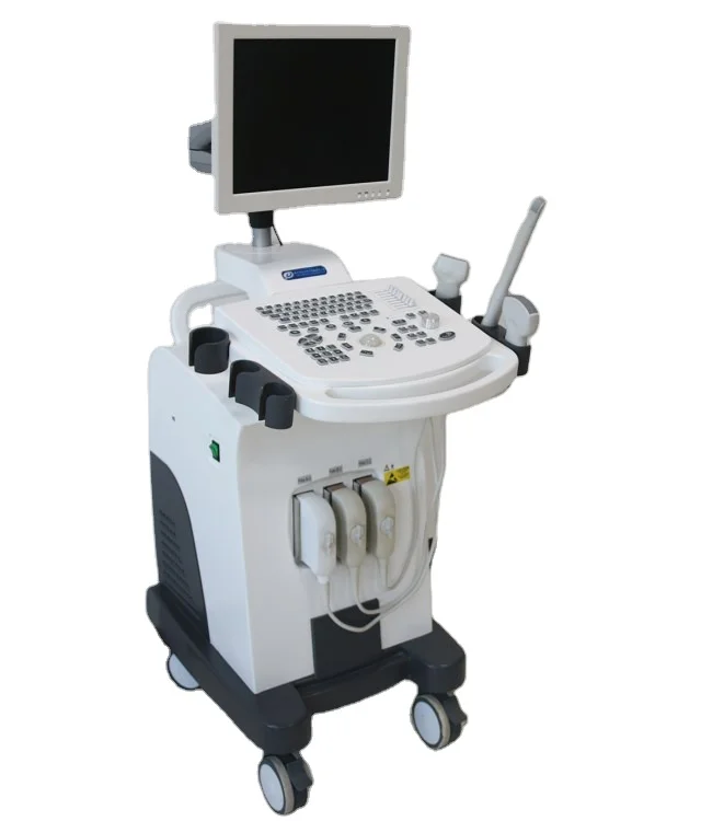 Competitive price  DW-370 Trolley Full Digital B/W Ultrasound diagnostic machine system