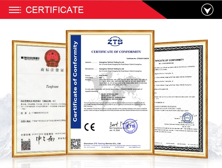 Company overview