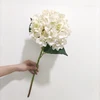bianco autunnale