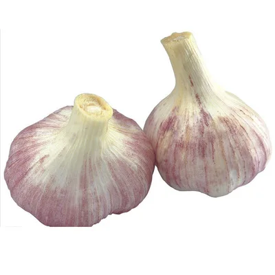 2020 Chinese Best Wholesale High Quality Fresh Garlic pure white Price -new Crop