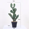 54cm