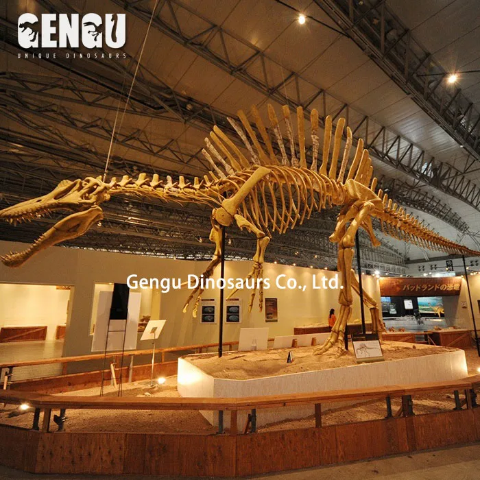 Artificial Dinosaur Skeleton Model Fiberglass Dinosaur Bones for Sale