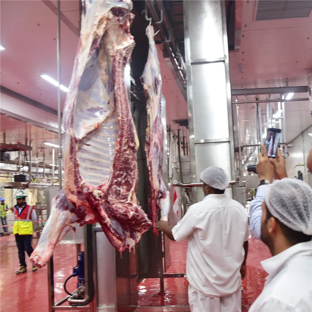 Slaughterhouse design 50-100 cow slaughterhouse meat processing equipment