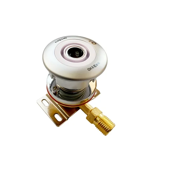 OEM Custom Logo Medical Gas Terminal Gas Outlet O2 Air Vac N2 N2o Co2 Agss Are Available British Standard Medical Gas Outlet