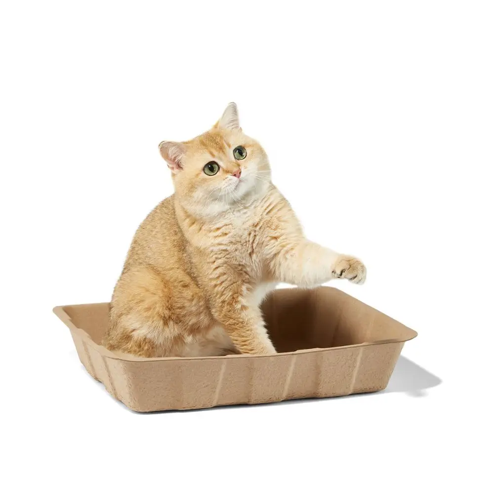 New Style Biodegradable Odor Elimination Disposable Cat Litter Box