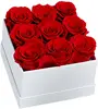 Rosa-9-Cuadrado