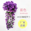 5 orchidées violettes