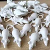 Mini ratón blanco