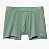 Menta