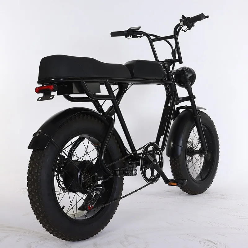 EU Warehouse in Stock Fat Tire Electric Bike 20inch Off Road E Bike Price  750W Motor 15ah Battery Beach Cruiser Electric Bicycle
