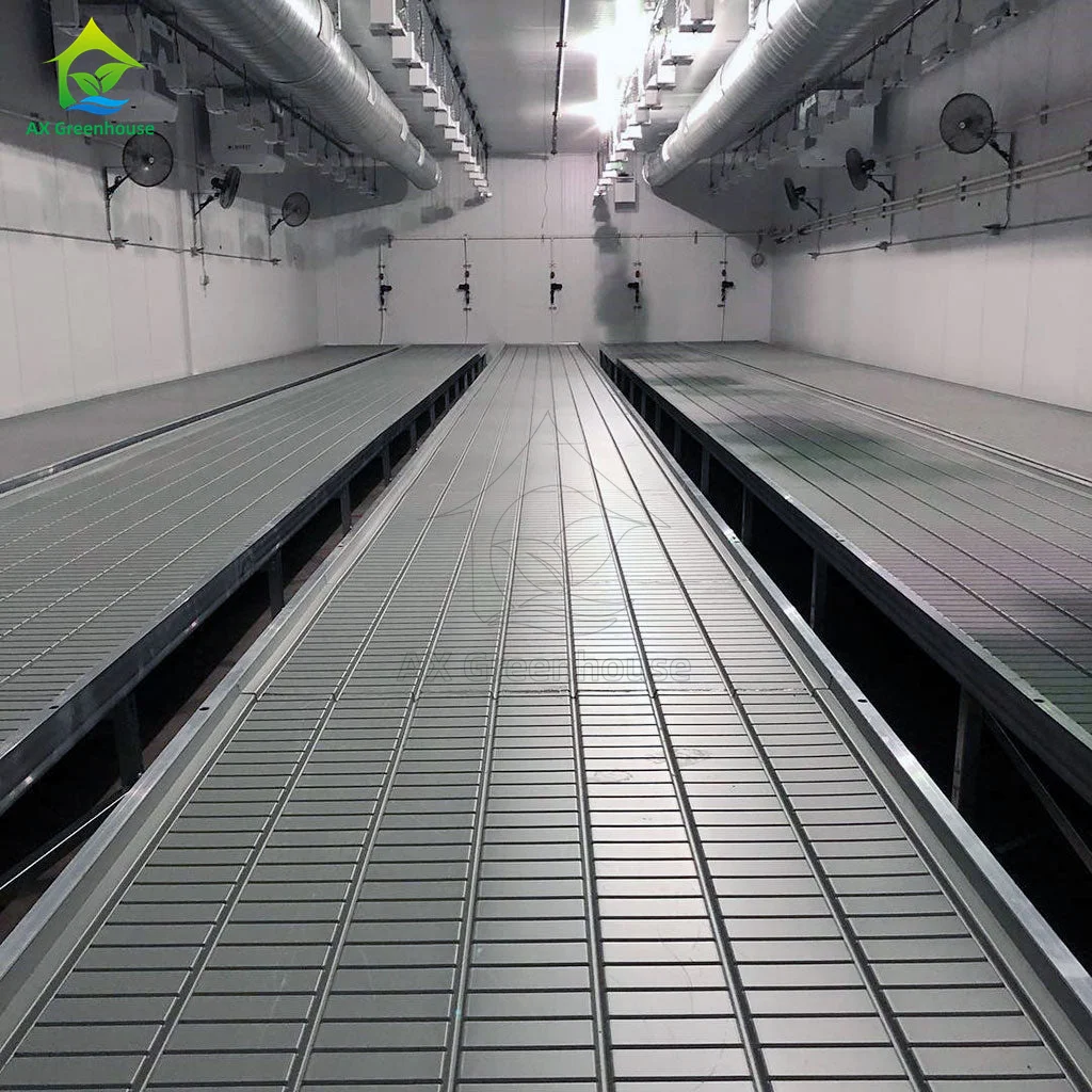 Custom 4x8 Movable Hydroponic Ebb Flow Rolling Bench Grow Rack System Growing Table Seedbed for Various Plant Types for Seeding