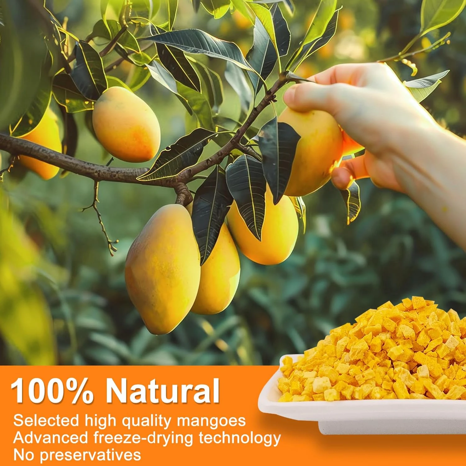 Bulk Freeze Dried Mango Chunks | Wholesale Supplier H89bf90e8831140ff8b0c368ceee65bf2i