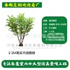 Árbol de arce verde de madera maciza de 2,2 m de altura (enlace de depósito)