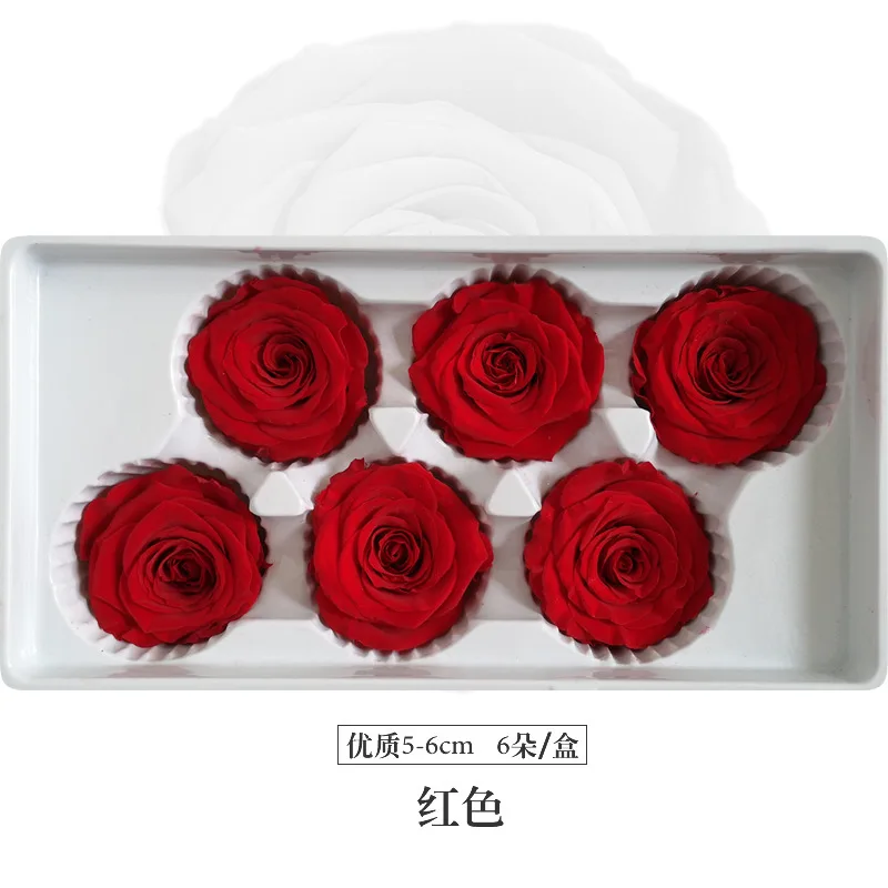 Rosa Preservada De Larga Duración,Regalo Artesanal De 5-6cm,De Grado A,Flor  Eterna - Buy Y Austin Rose,Venta Al Por Mayor Y Rosas,Y Rosa De La Cabeza  Product on Alibaba.com