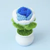 Gradient blue rose potted plants
