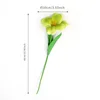 Yellow-green flowering tulips