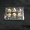 Caja de huevos de codorniz de 6 rejillas