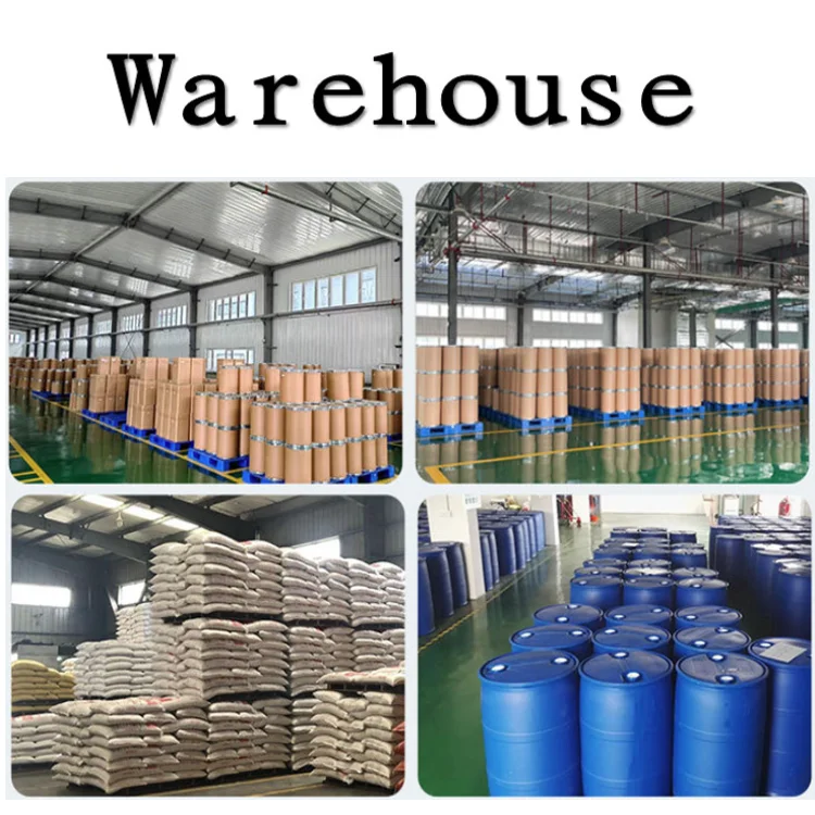 Factory Supply 100% Natural Onion Extract Concentrate Liquid Allium Cepa Extract Liquid Onion Flavor