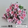 Pink Six-Forked Rhododendron