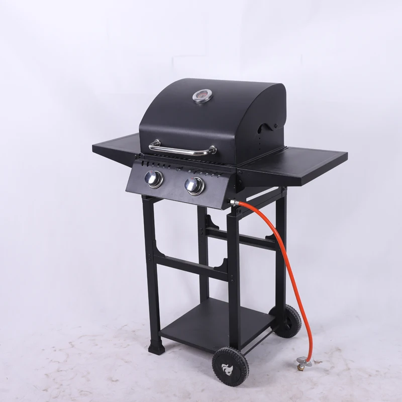 product oem odm 2 burners large natural trolley gas bbq grill propane gas barbecue grill for outdoor-3