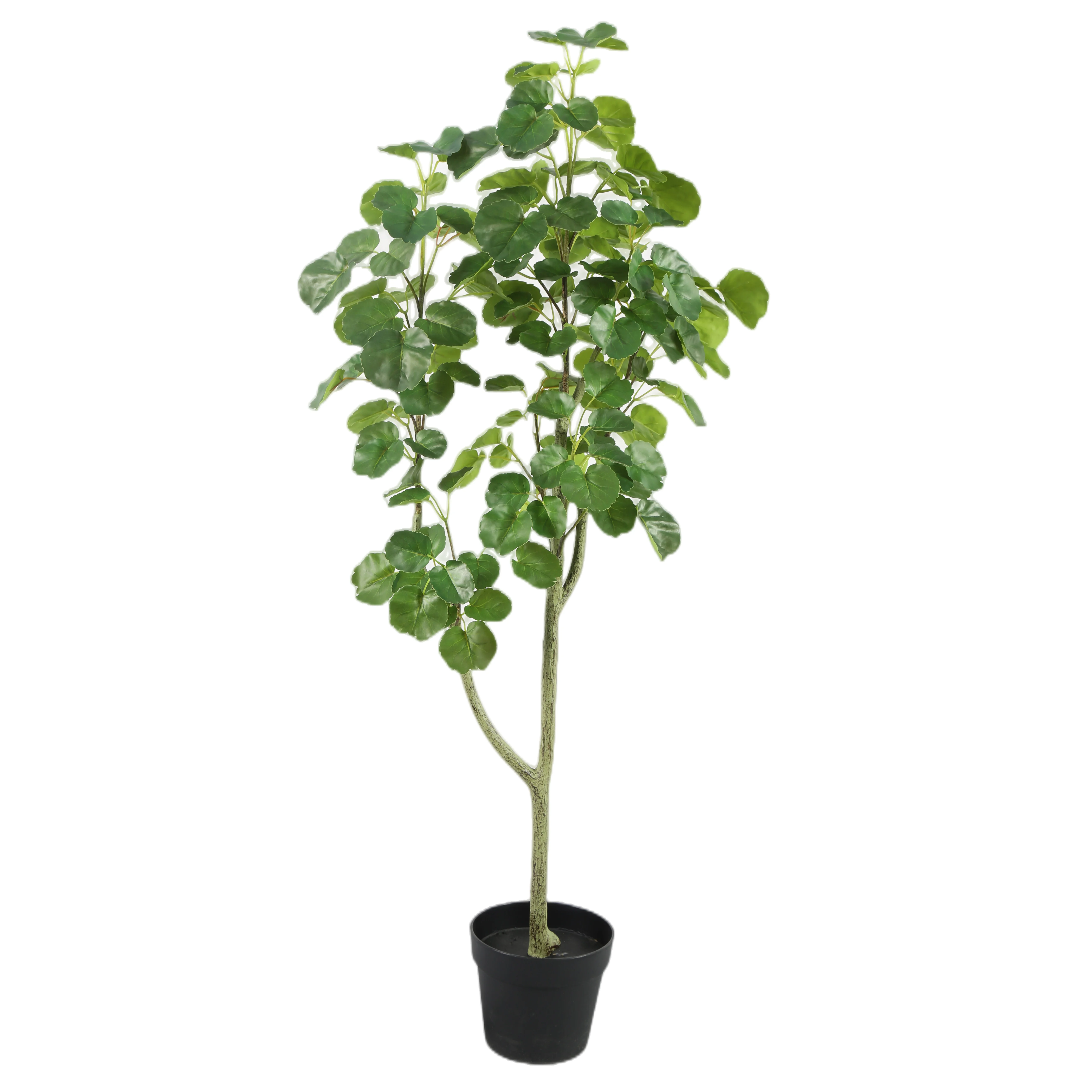 ist bambus antibakteriell Kchentcher BAMBUS  oecolife Shop