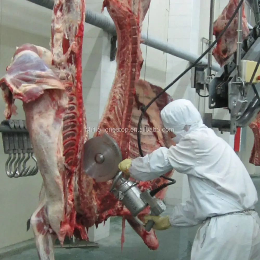 Cow slaughterhouse with meat processing and boning machines