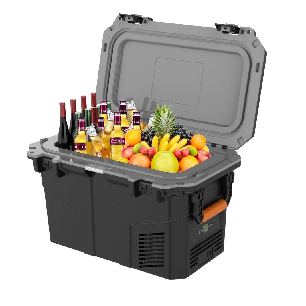 12V 24V 110V Car Fridge 55L Portable Refrigerator for Camping