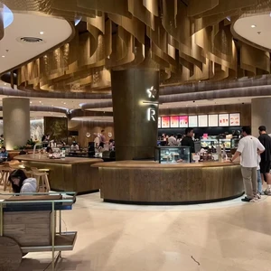 ECOJAS New Design Chain Light Custom Luxury for Hotel Lobby Banquet Hall Indoor Decorative Lighting