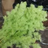 Verde chiaro