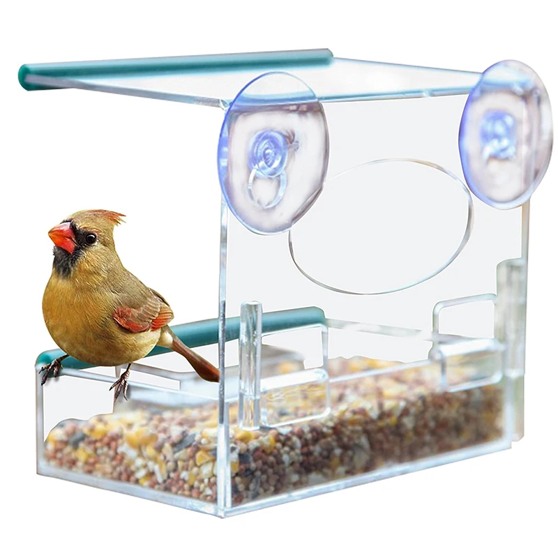 small window bird feeder