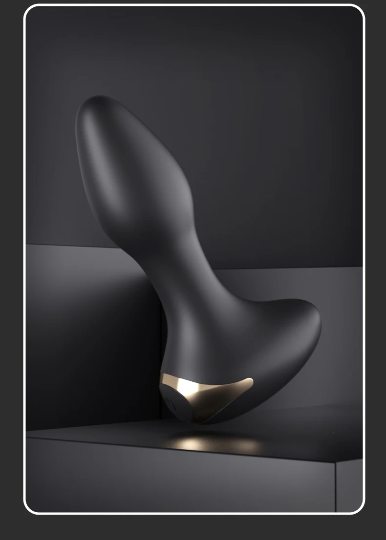 Full product set including anal plug, charging cable, and user guide