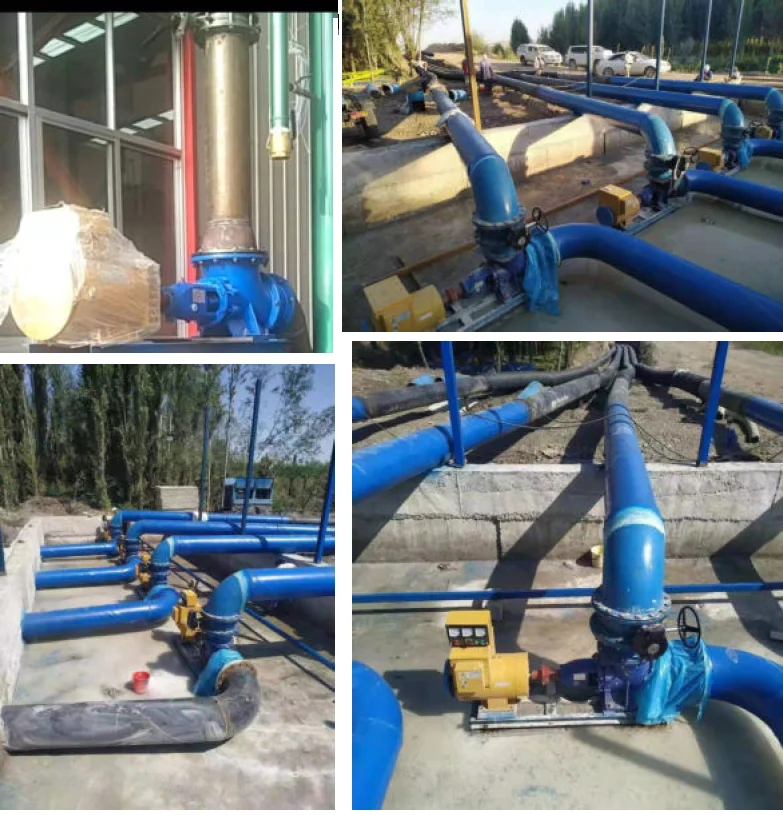 paste-pic-dp_uuid_rknft