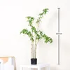 Water Stone Ficus - 120cm