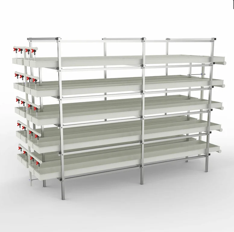 Hydroponic Forage Growing Tray System Barley Grass Indoor Farming
