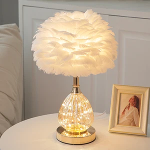 Designer's Creative Romantic Feather LED Night Light Modern Metal Bedside Lamp for Living Room Bedroom Plug-In Middle