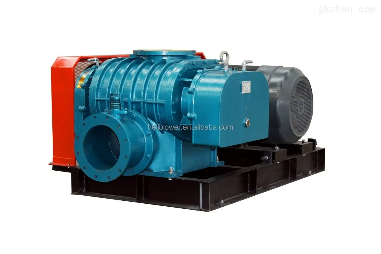 Roots Blower, Explosion-Proof, 220V - detail 8