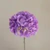 สีม่วง