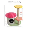 Three-Layer Mushroom - Western Red