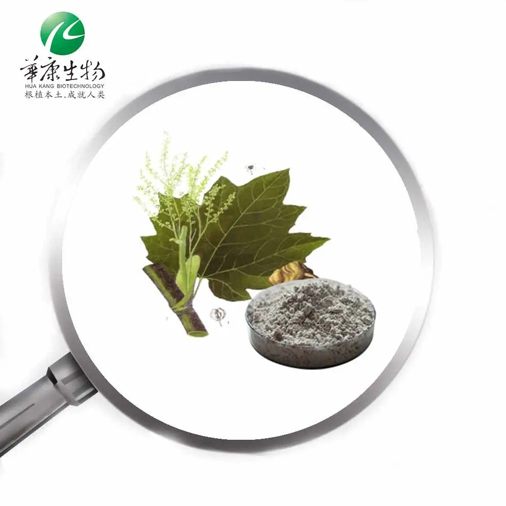 Powerful Antioxidant Polygonum Cuspidatum Extract 98% Resveratrol From Japanese Knotweed