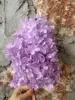 viola chiaro