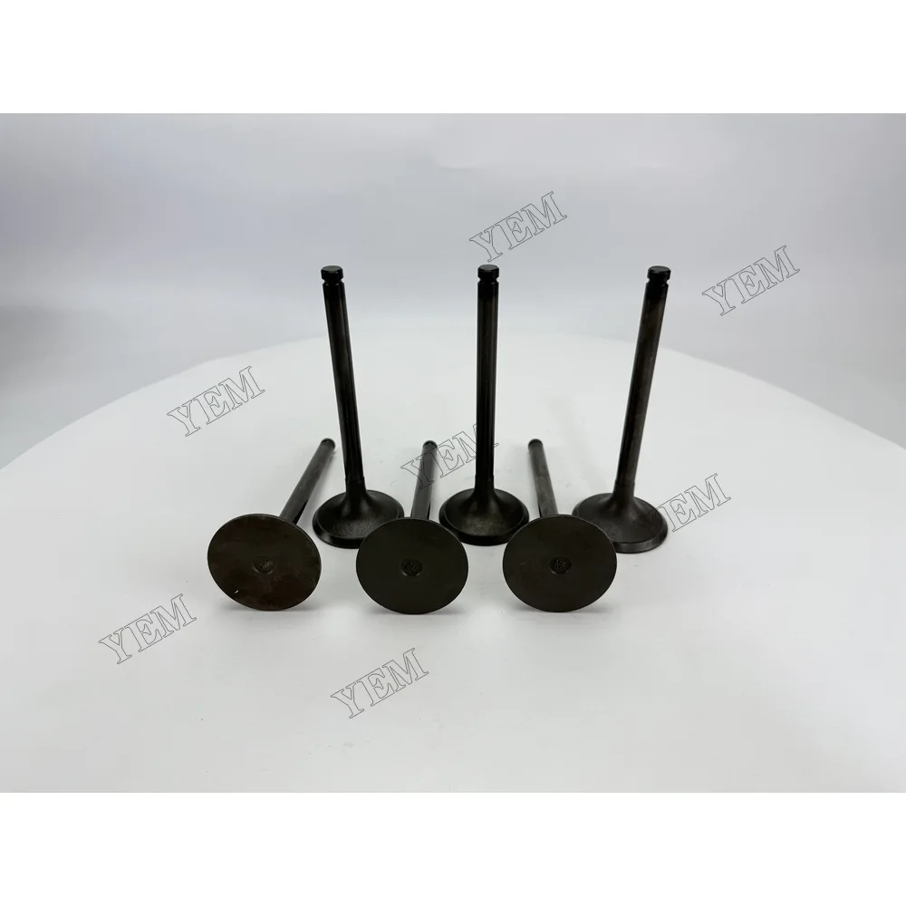 Intake Valve for Nissan NE6 Industrial Engine Parts 2