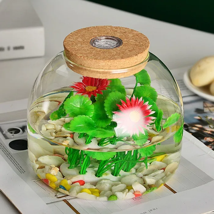 Dia16cm Glass Jar Terrarium With Colorful Led Light Cork For Plant