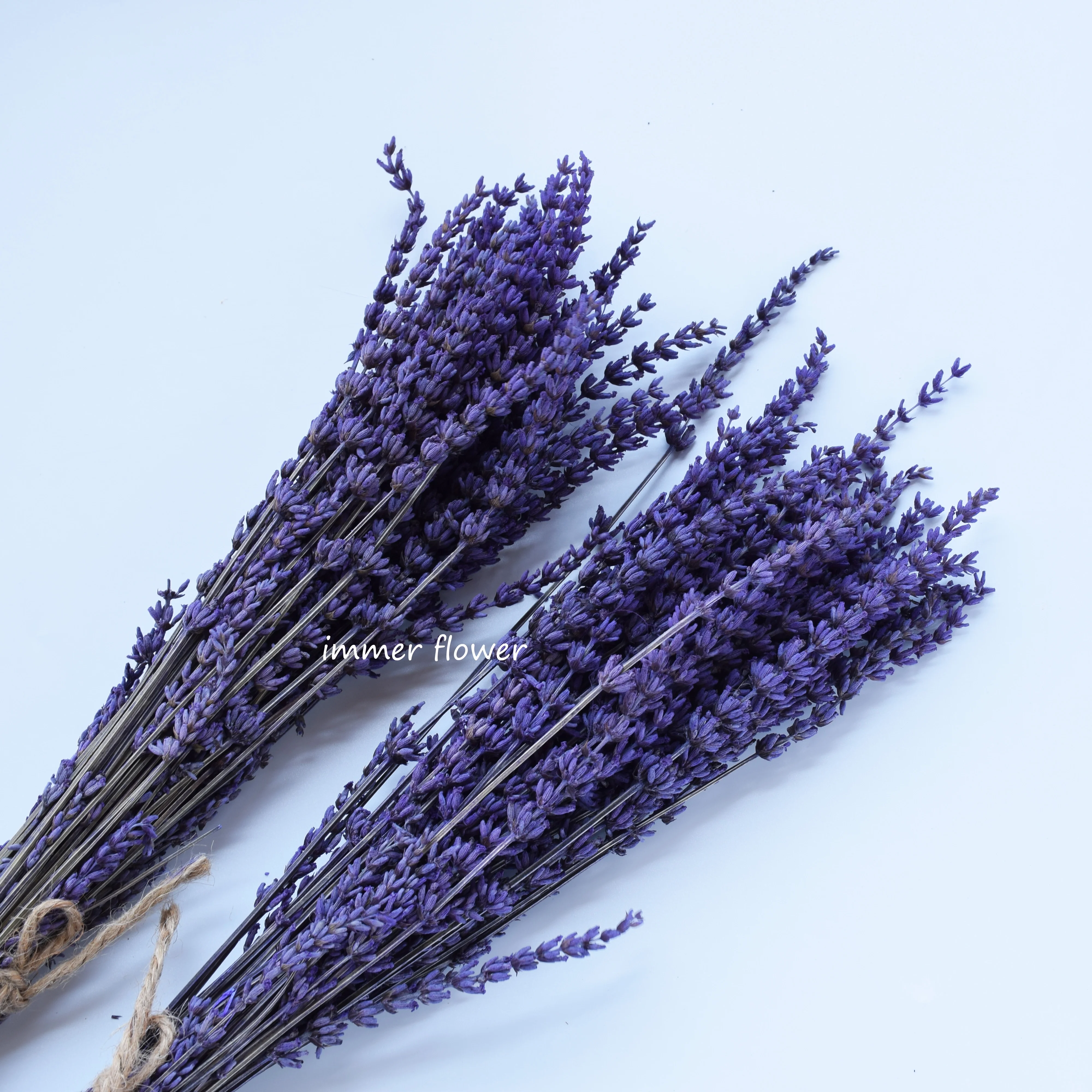 Flor De Lavanda Seca E Lavanda - Buy Lavender Dry Flower,Dry  Lavender,Preserved Flower Product on Alibaba.com