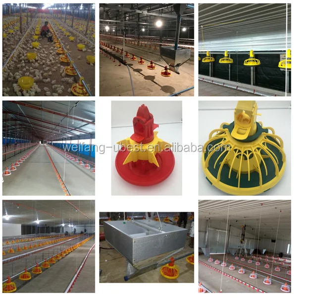 Philippines House Design Tunnel Ventilation Poultry Shed Automatic Farm ...