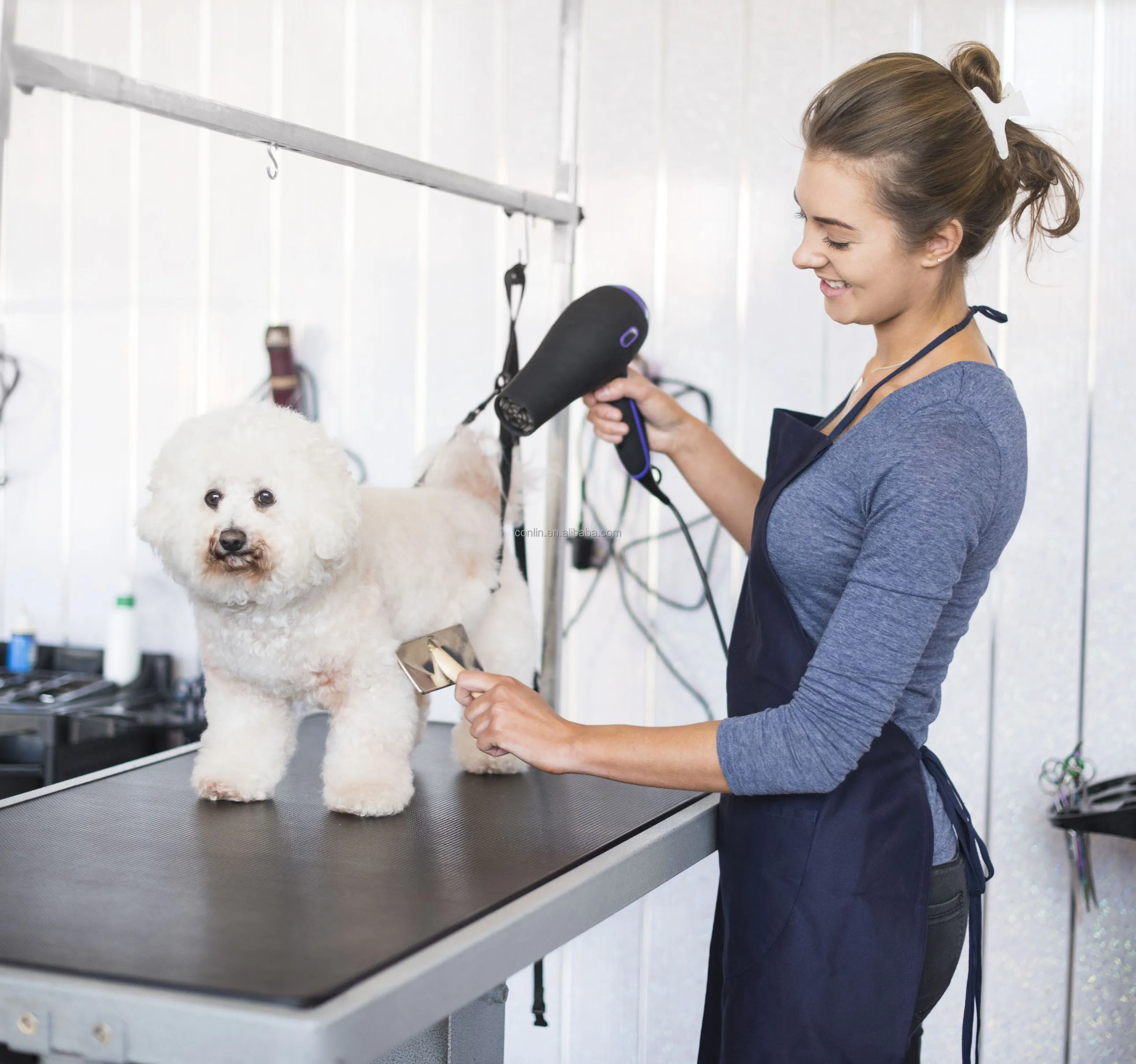New Design Mobile Pet Grooming Truck Grooming Salon For Sale In America