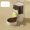 Light green eat