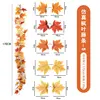 Maple Vine - No. 5