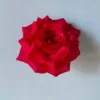 Numero 4