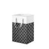 Black Lantern - Single Pack